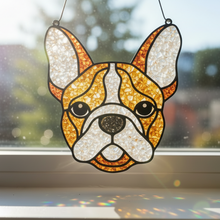 06/04/2026 - Crushed Glass Pet Sun Catchers Workshop - 6pm LIMITED SEATS