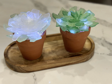 10/14/2025 - All Things Sea Glass Workshop - 6pm