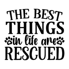 Pet Signs | Every Day Designs