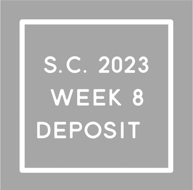 Week 8 Deposit