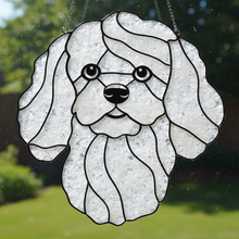 06/04/2026 - Crushed Glass Pet Sun Catchers Workshop - 6pm LIMITED SEATS